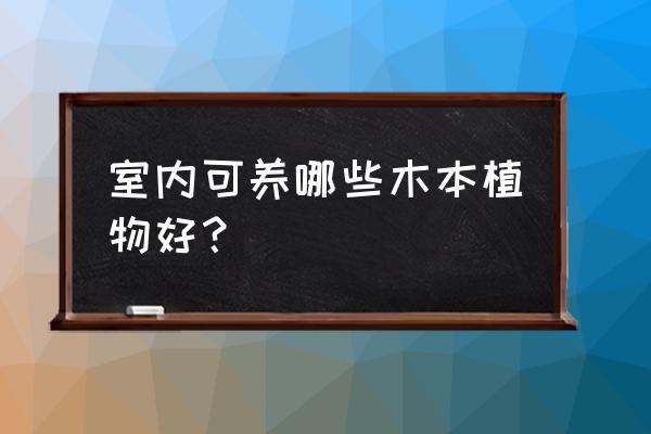 家里养哪几种植物最吉祥的 室内可养哪些木本植物好? 家里养哪几种植物最吉祥的 室内可养哪些木本植物好?