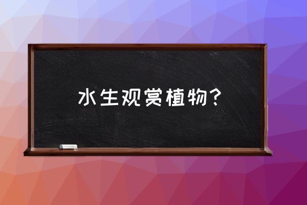 适合冬天养的小型水生植物 水生观赏植物? 适合冬天养的小型水生植物 水生观赏植物?