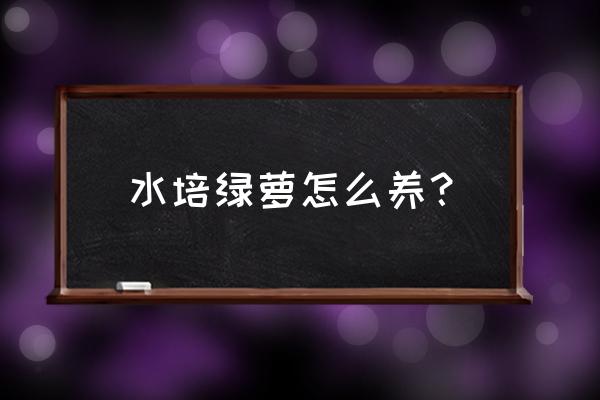 水培绿萝养殖方法的详细步骤 水培绿萝怎么养? 水培绿萝养殖方法的详细步骤 水培绿萝怎么养?