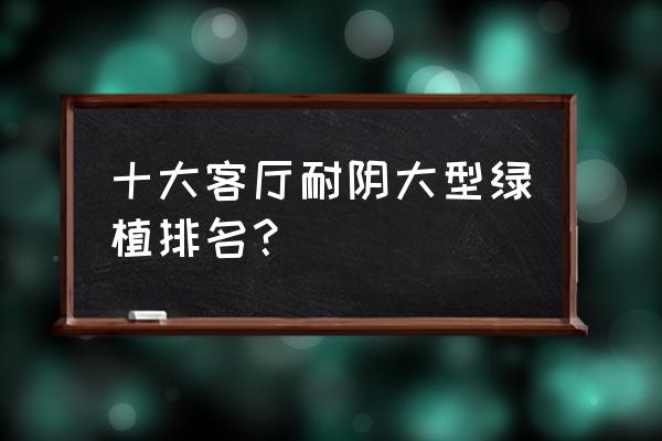 适合客厅里摆放的绿植 十大客厅耐阴大型绿植排名? 适合客厅里摆放的绿植 十大客厅耐阴大型绿植排名?