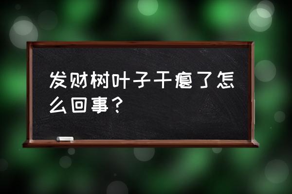 发财树树枝干瘪怎么补救 发财树叶子干瘪了怎么回事? 发财树树枝干瘪怎么补救 发财树叶子干瘪了怎么回事?