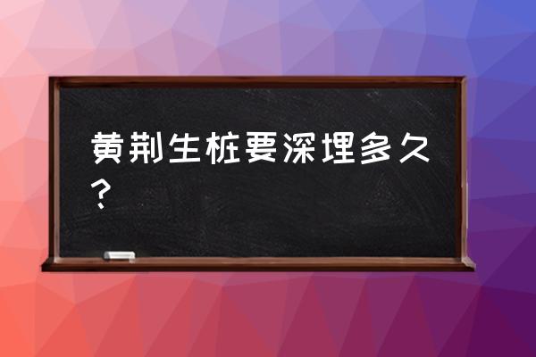 黄荆生根最佳时间 黄荆生桩要深埋多久? 黄荆生根最佳时间 黄荆生桩要深埋多久?