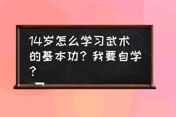 武术入门基本功训练方法 14岁怎么学习武术的基本功?我要自学? 武术入门基本功训练方法 14岁怎么学习武术的基本功?我要自学?