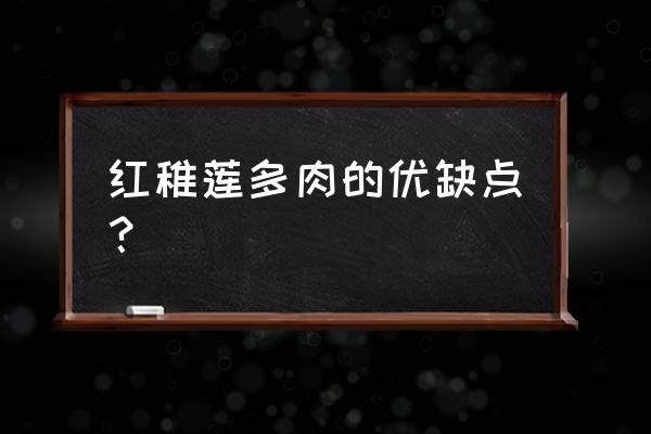 多肉红稚莲的养殖方法和注意事项 红稚莲多肉的优缺点? 多肉红稚莲的养殖方法和注意事项 红稚莲多肉的优缺点?